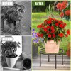 Metal Plant Stands, Anti-Rust Iron Flower Pot Stand, Heavy Duty