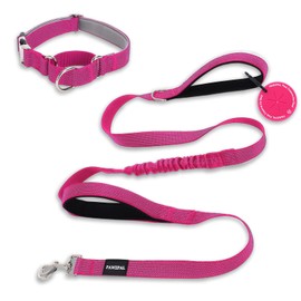 PAWZPAL 6FT Dog Leash & Martingale Collar Set – No-Pull, No-Choke Bungee Leash Combo with Reflective Stitching for Comfortable Training, Walks & Daily Use