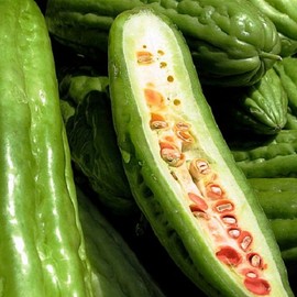 5 Seeds of Momordica charantia - Bittermelon - 70 Days. Unusual Vining Asian Vegetable with Many Health Benefits!