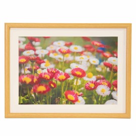 FUJICOLOR 407833 Wood Frame M20 A4 Wood Frame