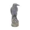 Nemesis Now Ravens Rest Figurine 20cm Black