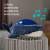 Angelcare Bobbi The Whale Ceiling Night Light Projector for Babies