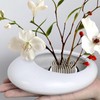 Flower Frog Vase Kit, Ikebana Flower Arrangement, Ceramic Water Drop