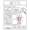 Okamoto 638-975 Women's Socks Supplement, Just When You Want It!
