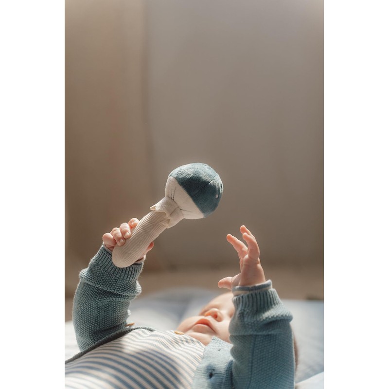 Little Dutch Forest Friends 8901 Grasping Toy Mushroom Blue