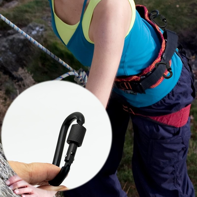 4pcs Locking Carabiner,Clips, Key Clip,D-Ring Carabiners with Screw Lock, Duty