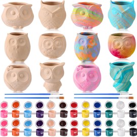 Dandat 12 Pcs Bisque DIY Ceramic Owl Succulent Pots Paint Your Own Ceramic Succulent Planters with 2 Set Paints Paintable Owl Ceramic Flowerpots with Drainage Hole for School Classroom Kids Craft