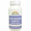Generic White Mulberry Leaf Extract 4:1 Capsules (500mg Each) -