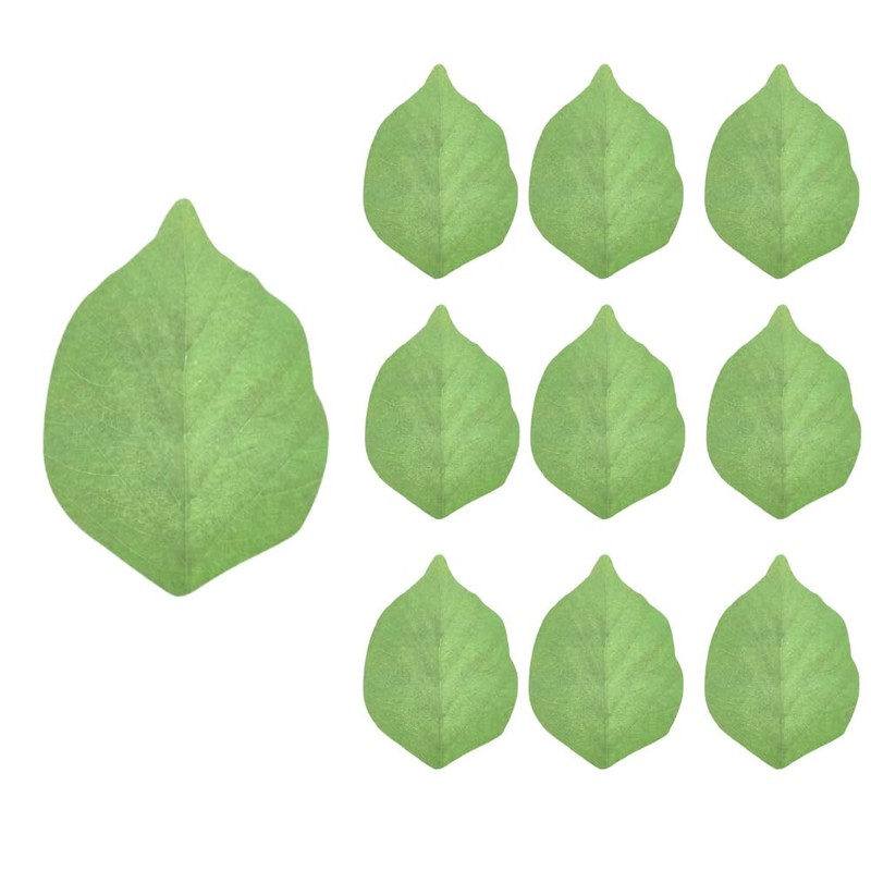 Creative Leaf Sticky Notes, 500 Sheets, 10 Pack, Green Memo
