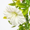 Primrose Premium Large Artificial Outdoor Hanging Baskets With Flowers (White,