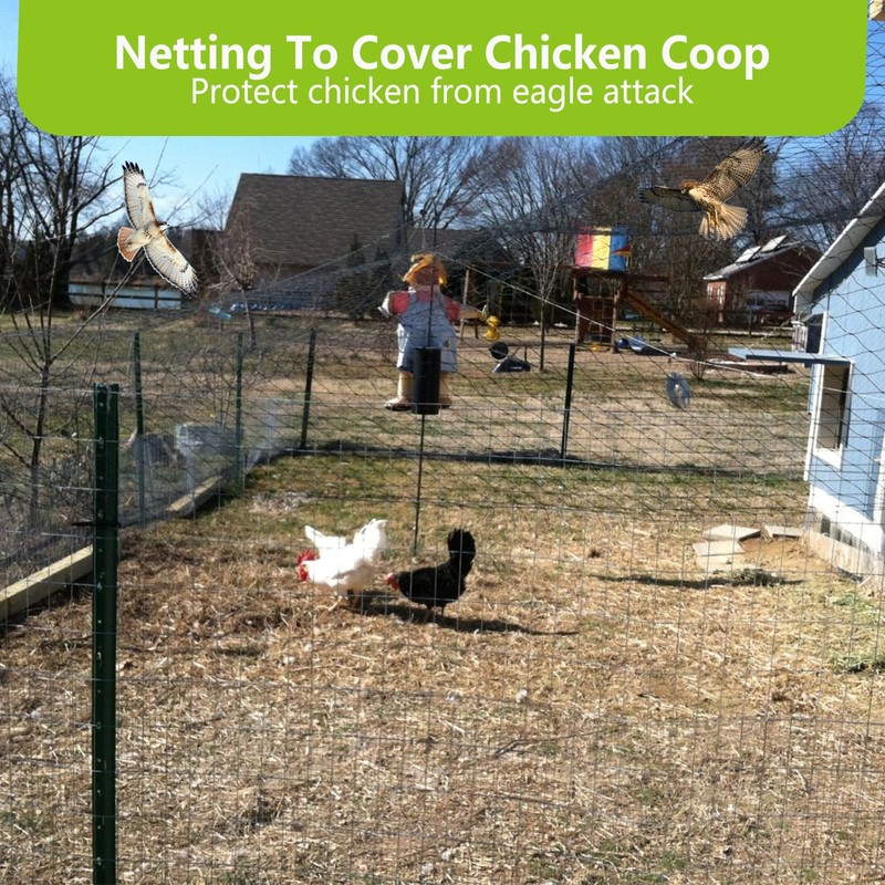 POYEE 50x50ft Bird Netting for Chicken Coop, 1 inch Mesh,