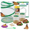 Insect Lore Butterfly Garden with 10 Live Baby Caterpillars -