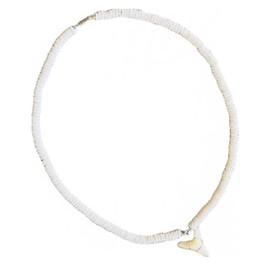 da Hawaiian Store Natural Puka Shell Choker Necklace with Shark Tooth Pendant
