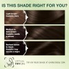 Garnier Nutrisse Tinte para el cabello, 30 café Oscuro (Sweet