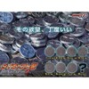 Gashapon Kamen Rider Os Diecast Cell Medal Swing 2, Rare & Secret 2 Types, Set of 8
