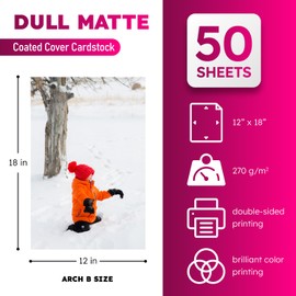 Dull 100lb Cover Digital Low Gloss Cardstock, Double Sided C2S, Coated, Perfect for Color Laser Printing, Design Proposals, Business Cards, Flyers, Brochures | Matte Finish | 12" x 18" | 50 Sheets