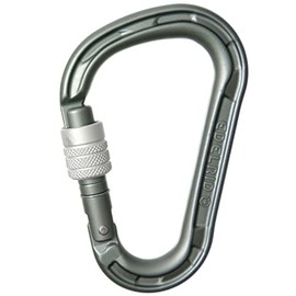 EDELRID Unisex - Adult HMS Magnum Screw Carabiner, Slate, One Size