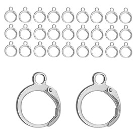 BEADNOVA Stainless Steel Leverback Earring Hooks 100pcs French Ear Wire Lever Back Earwire for Jewelry Making Crafting