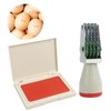 Egg Stamp with Date Display and Price, Ink Pad Included,