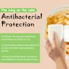 Cleanlogic Practical Matter - Esponja de Cocina Multiusos (Fibra de