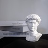 Waldosia 6 Inch Michelangelo's David Bust Statue (White)