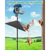 VIUBIRD Metal Squirrel Baffle - Heavy Duty Squirrel Baffle for