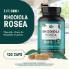 Rhodiola Rosea Life 360+ 120 Cápsulas Con Raiz Rhodiola En