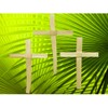 Palm Sunday Palm Crosses - Pack of 50 - 9.5"