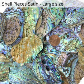 Abalone (Pāua) Shell Pieces-7.05oz Pack-for Crafts, Jewelry Making, Resin Art, Inlay, Home Decorations, Fishtank Supplies, DIY Projects - Satin,Large-1.59"-2.55"- 7.05oz (200grams)