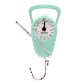 Pistachio Green Travel Scales