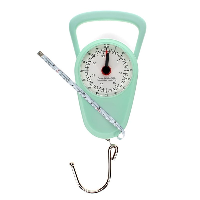 Pistachio Green Travel Scales