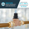 Cash Acme EB45 Pressure Regulating Valve, Double Union, 3/4 Inch
