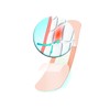 steripan 20 Children's Plasters 2 Formats