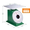 Tada 44lb / 20kg Heavy Duty Portion-Control Mechanical Kitchen and