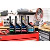 Chevron 67740-CASE Techron Concentrate Plus Fuel System Cleaner - 12