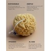 Aegini® Sea Gold XL Natural Sea Sponge, String Attachment, Premium