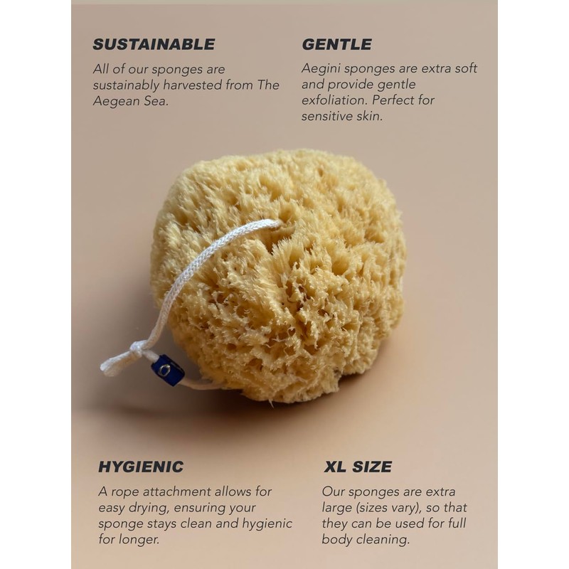 Aegini® Sea Gold XL Natural Sea Sponge, String Attachment, Premium