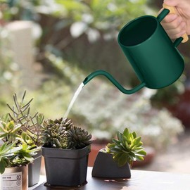 Watering Can Indoor Plants, 35 oz/1000 ml Metal Stainless Steel Watering Can Pot with Long Spout for Indoor House Plants Bonsai Outdoor Garden Flower Decorative (Alpinegreen)