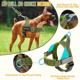 Lukovee No Pull Dog Harness & Leash Set - Heavy Duty Dog Vest Harness with Soft Padded for Medium Large Dogs, Adjustable Reflective Tactical Pet Harness for Easy Walk and Training (M, Green)