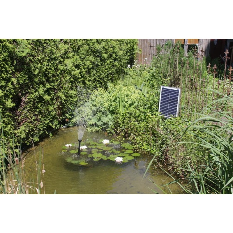 edi-tronic 12 V Solar Panel 10 W Solar Panel Solar