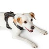 Hunter Maldon Y-Shape Soft Padded Harness for Sports, XS
