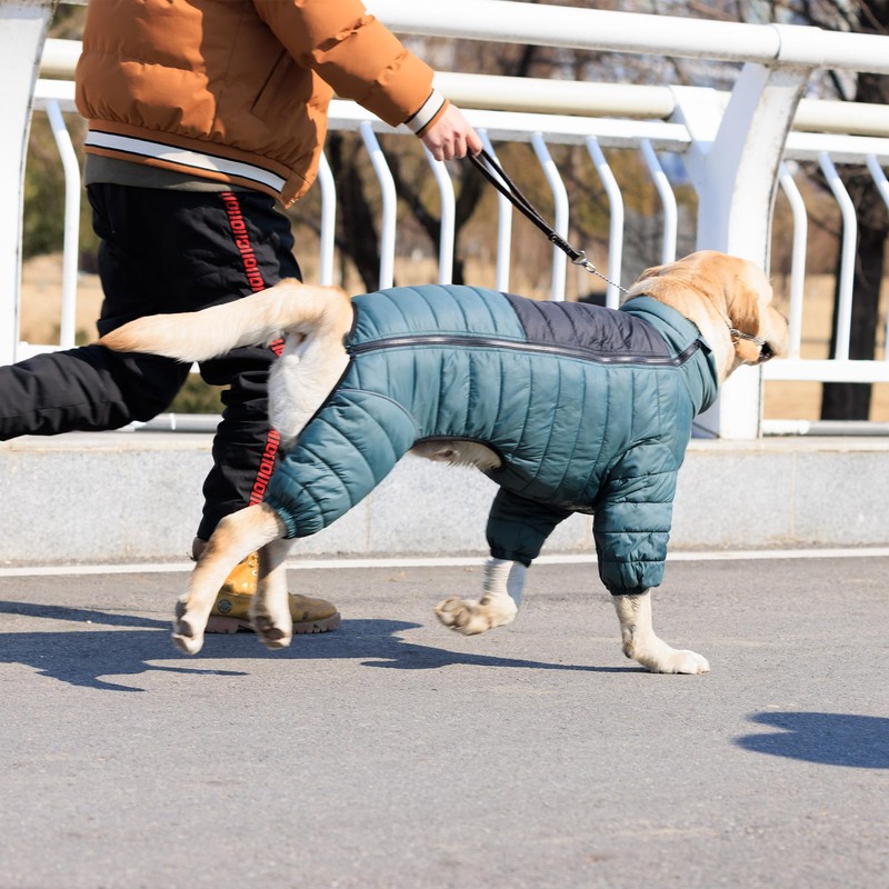 ArmyGreen Dog Warm Coat, Waterproof Windproof Reflective Vest, Zippered Adjustable