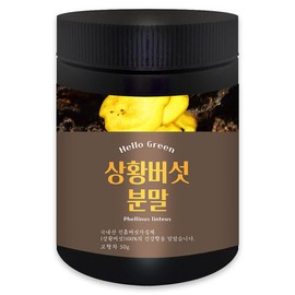 Hello Green Domestic Sanghwang Mushroom Powder 50g (Container) / 헬로우그린 국내산 상황 버섯 분말 가루 50g (통)