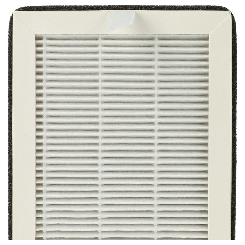 vhbw 2-in-1 Combination Filter Compatible with Soehnle Airfresh Wash 500