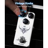 RVONE Analog Delay Guitar Pedal for Electric Guitar, Vintage-Style Guitar