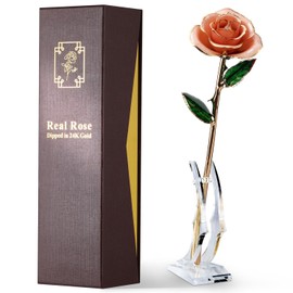 ECO SPACE Gold Dipped Rose - Hand-Dipped Real 24K Gold Rose - Genuine One of a Kind - Eternal Romantic Present for Her - Perfect for Valentines, Mother's Day, Anniversary, Birthday (Pink)