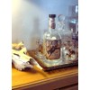 BLACK FOREST DECOR Bronco Buster Double Old Fashioned (Set of
