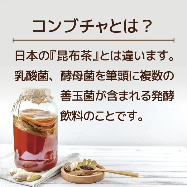 ヒルズラボ コンブチャ HEALSLAB KOMBUCHA パイナップル味（5g×15 包) 微炭酸 韓国製 乳酸菌 酵母菌