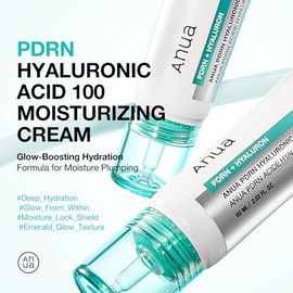 ANUA PDRN Crema Hidratante de Ácido Hialurónico 100, Hidratante Ligero con ADN de Salmón, Ácido Hialurónico, Colágeno para Piel de Vidrio, Cuidado de la Piel Coreano (60ml / 2.02 fl. oz)