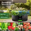 VIVOSUN 1 Pack 100 Gallon Grow Bag, Fabric Pot with
